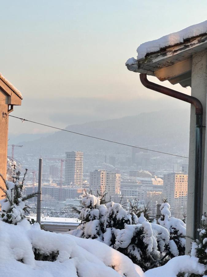Cozy One-bedroom In Hongg Apartamento Zurique