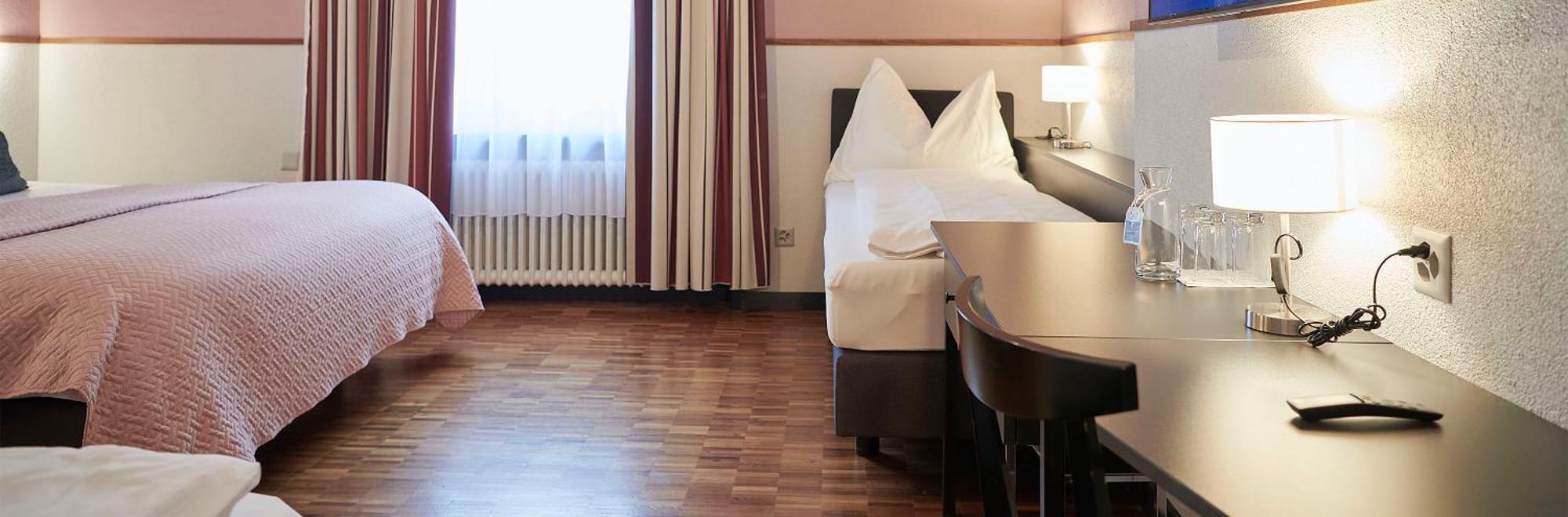 Hottingen Hotel Zurich