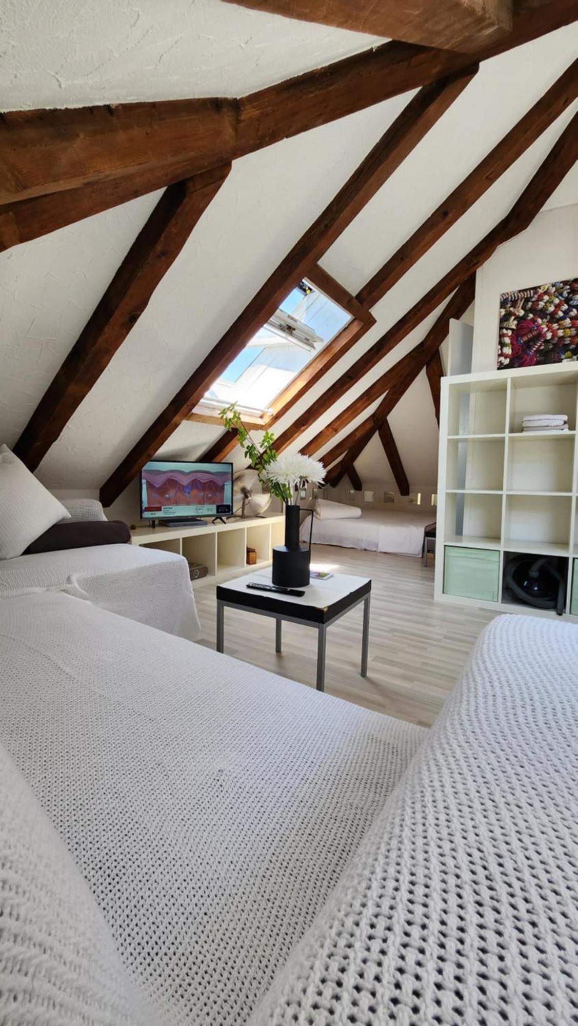 Trend Area Attic Seefeld Hotel Zürich