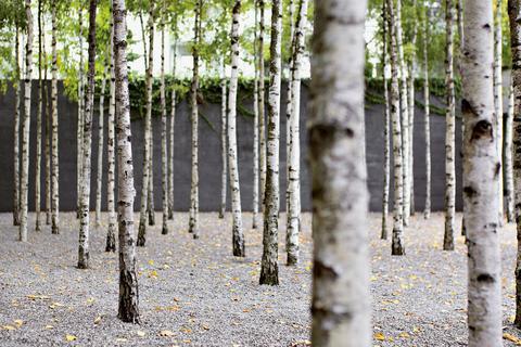 Greulich Design & Boutique Hotel