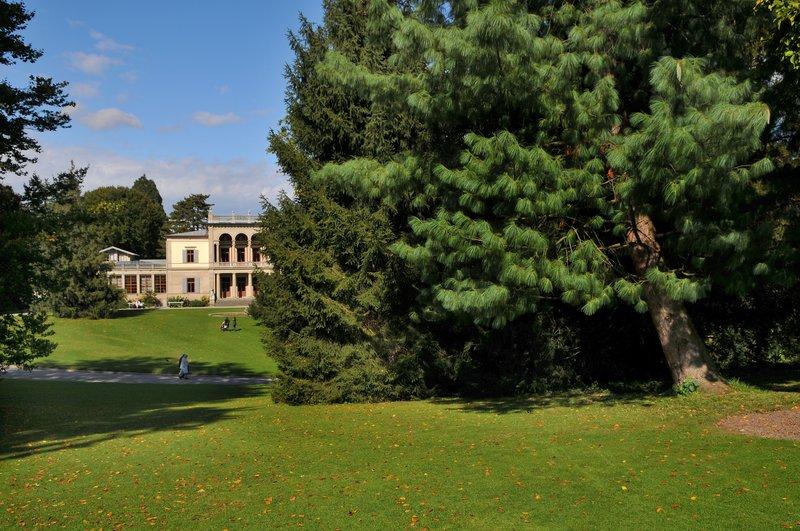 Hotel Widder - Zurichs Luxury Hideaway Zurique