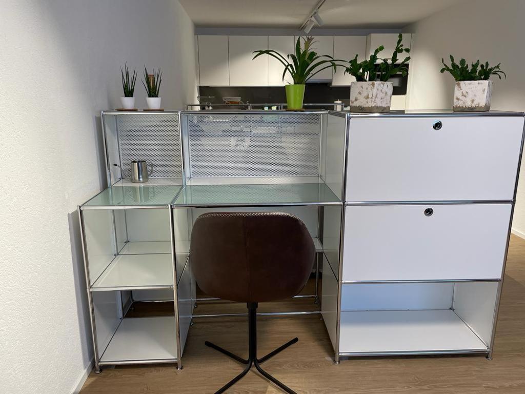 Apartment Gocki