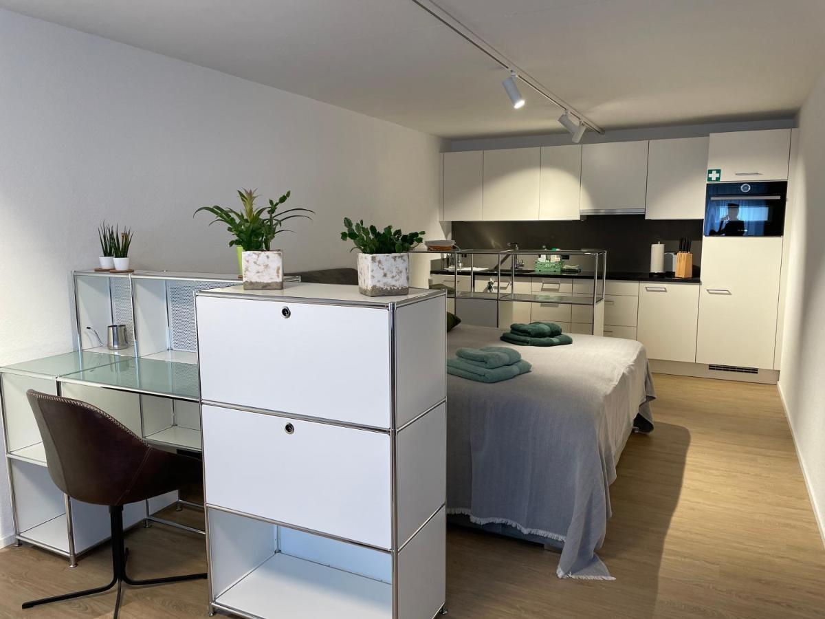 Apartment Gocki *