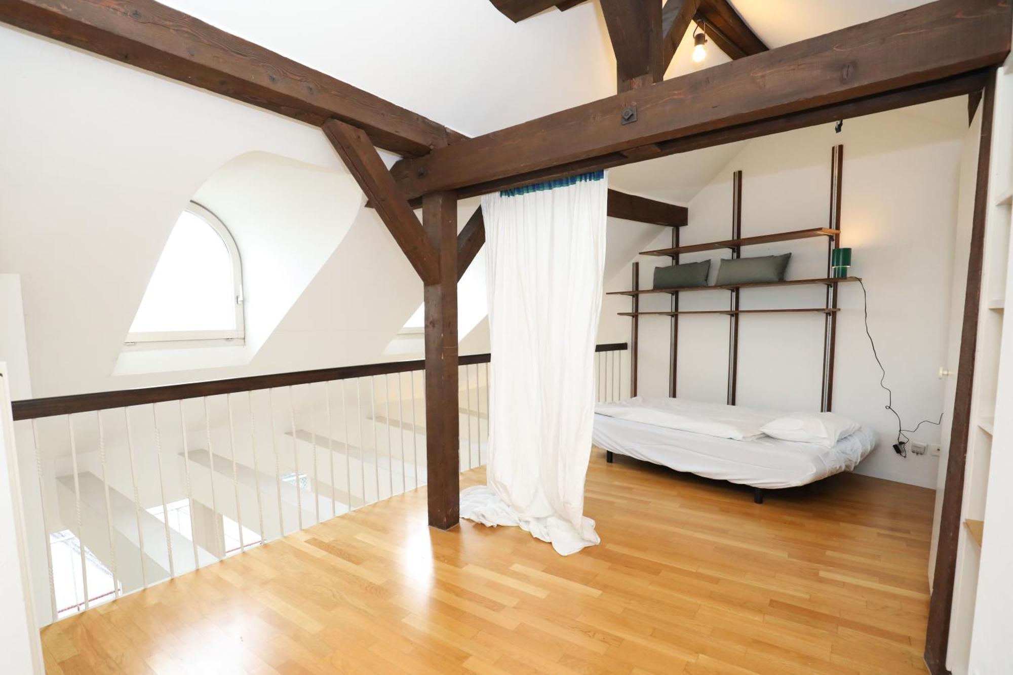 Penthouse With Jacuzzi, Sauna And Rooftop Apartment Zurich