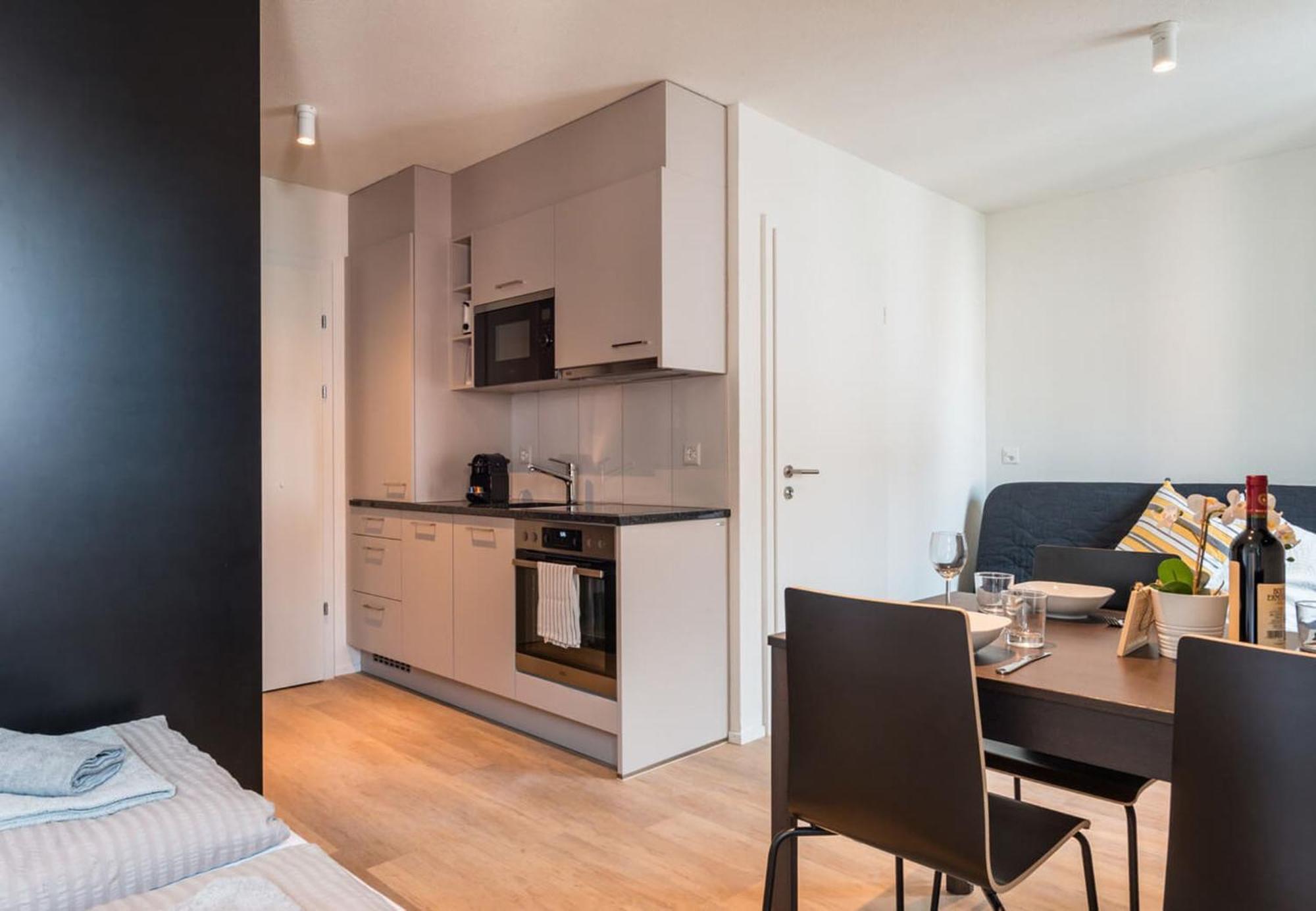 Hitrental Station Apartment Zurich