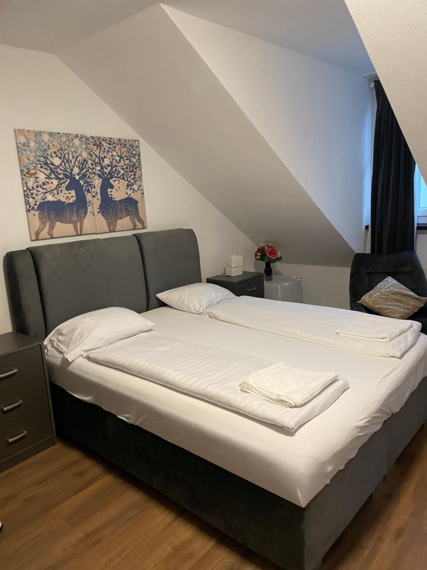Hecht * Zurich