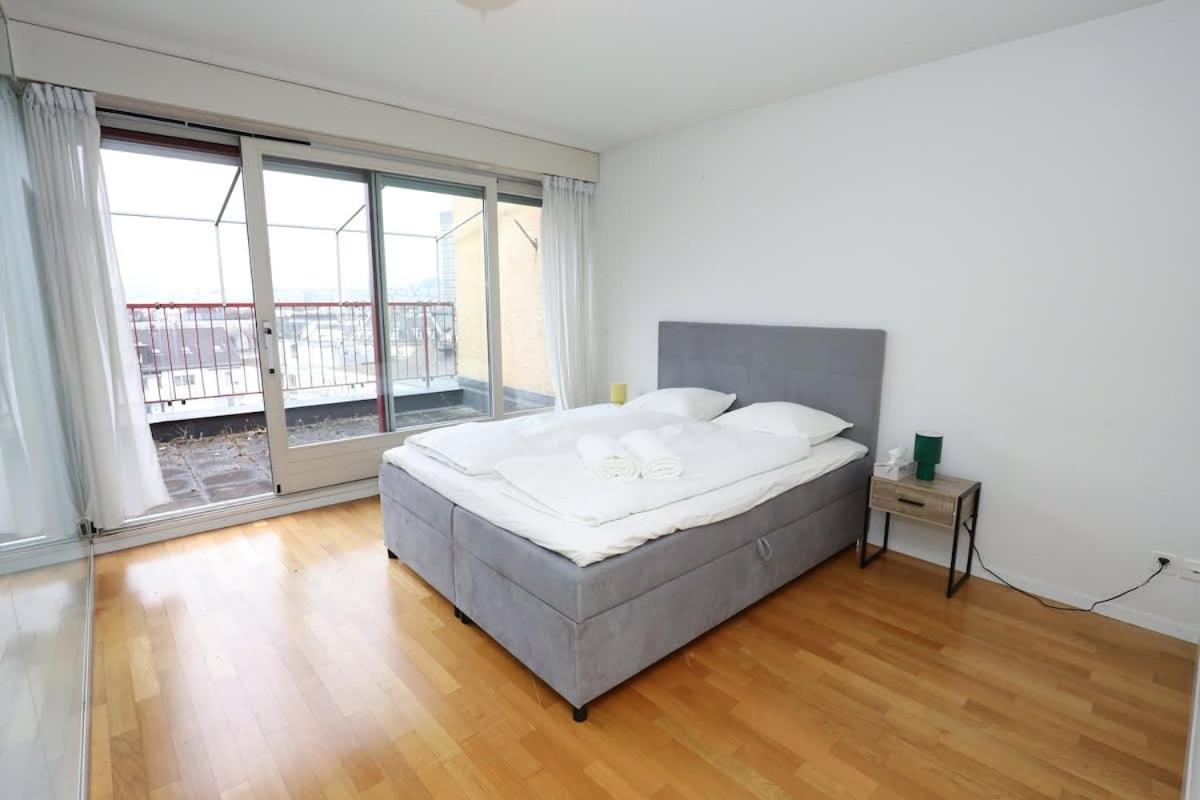 Apartment Penthouse With Jacuzzi, Sauna And Rooftop Zurich
