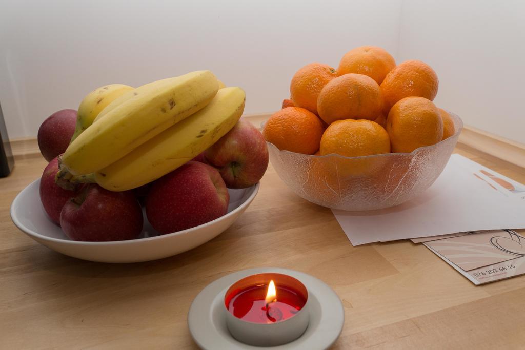 Rosa Apartment Zuerich City