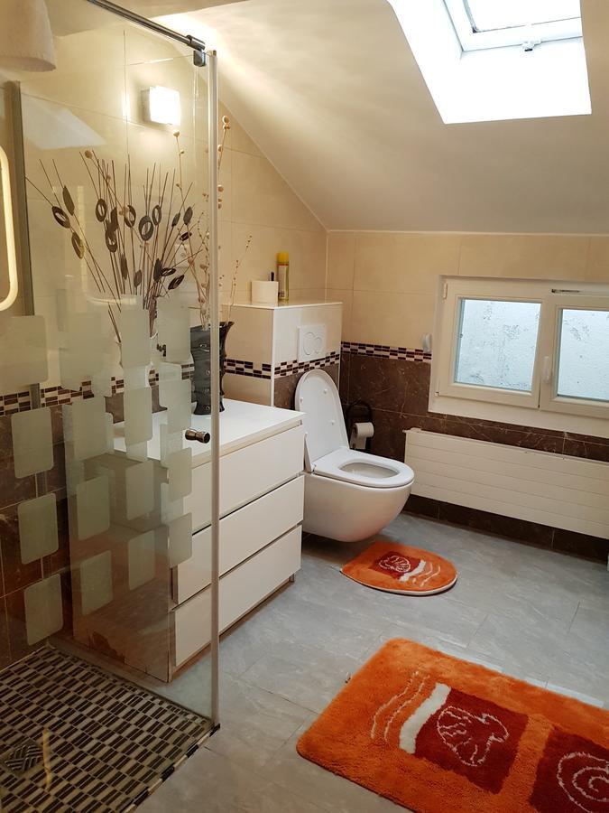 Rosa Apartment Zuerich City Zurique