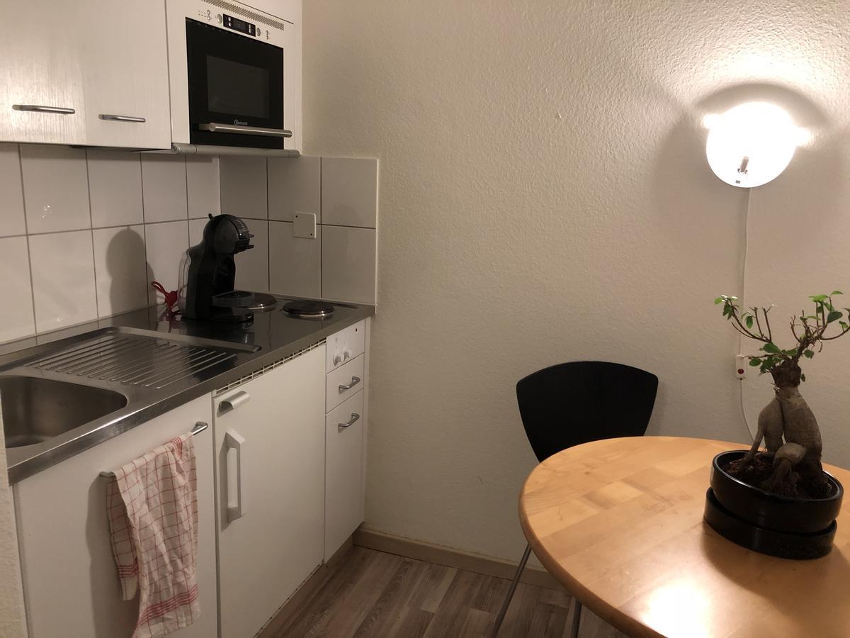 Apartamento Rosa Apartment Zuerich City