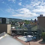 Rooftop With Own Terrace And Cityview