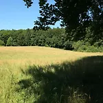 Hausteil in einer Waldlichtung im Stadtwald