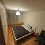 Bellissimo Appartamento Condiviso