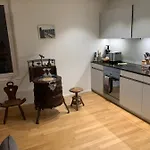 Beautiful Apartment In Central Zurich