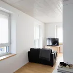 Nest - Kanzleistrasse 217 - 225