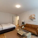 Amazing Studio City Center - Wille 4