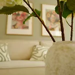 Sage Suite
