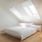 Airhome Limmatquai River View Apartment