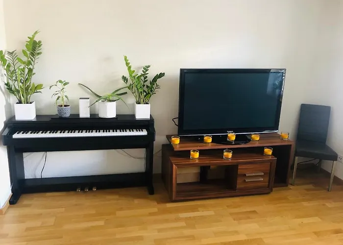 Homestay Zuerich Hb Room