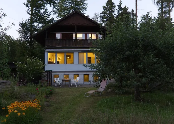 Hausteil In Einer Waldlichtung Im Stadtwald