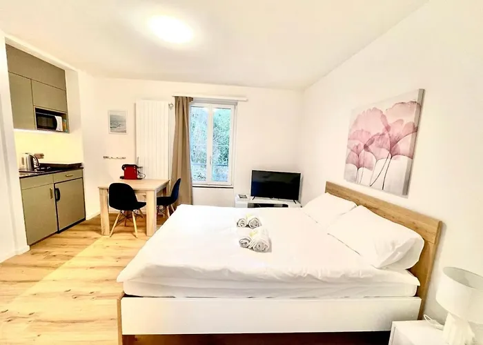 Heart Of Zurich Modern Studio Hg20