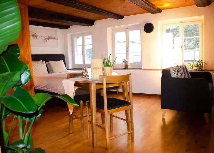 Many\'S Historical City Central Apartments