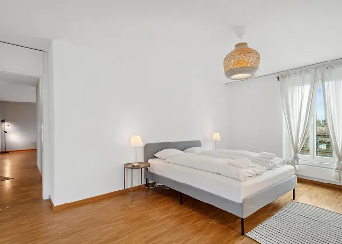 Spacious Central Apartments Hoting