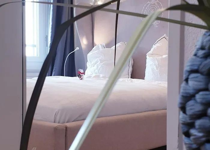 Thesuite