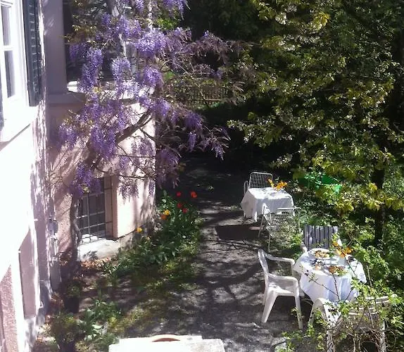 Garden Studio Apartment Zuerichberg
