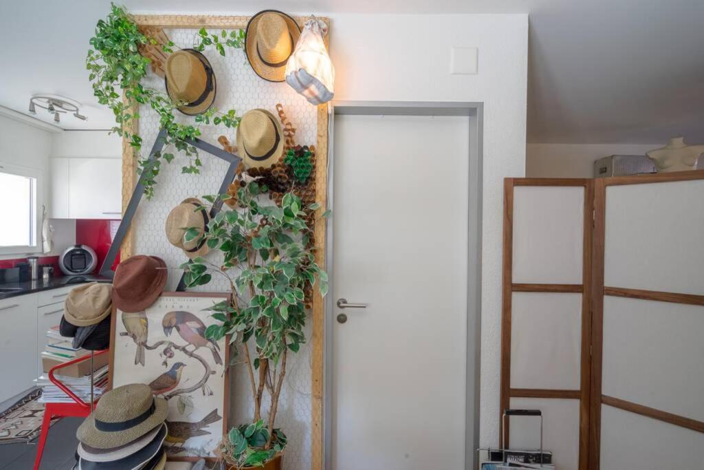 Zurich Accomodation