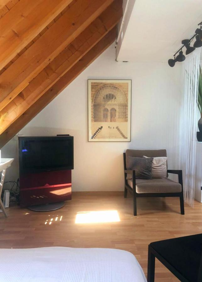 Apartment Rooftop With Own Terrace And Cityview Zurich