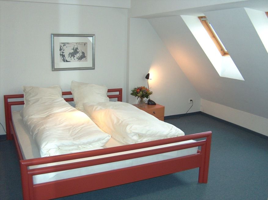 Ema House Serviced Superior Unterstrass Zurich