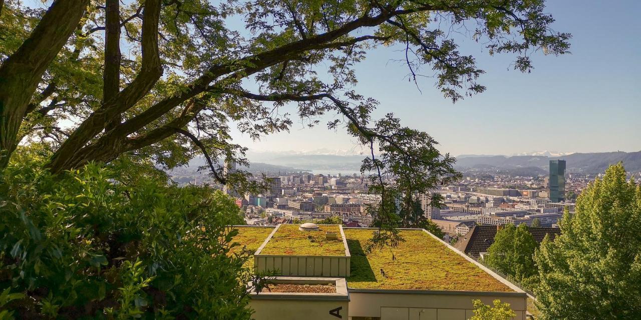 Helvetia 2 Zimmer Mit Parkplatz Apartment Zurich