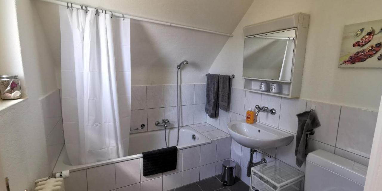 Apartment Helvetia 2 Zimmer Mit Parkplatz
