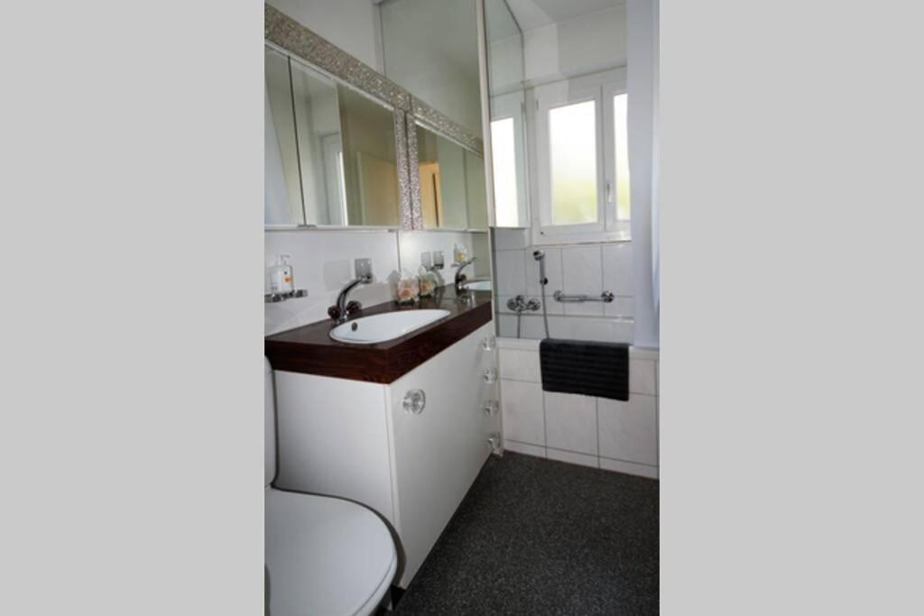 Apartment Turicum Mit Balkon Und Parkplatz