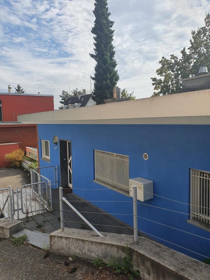 Hostel Viktoria Budget *