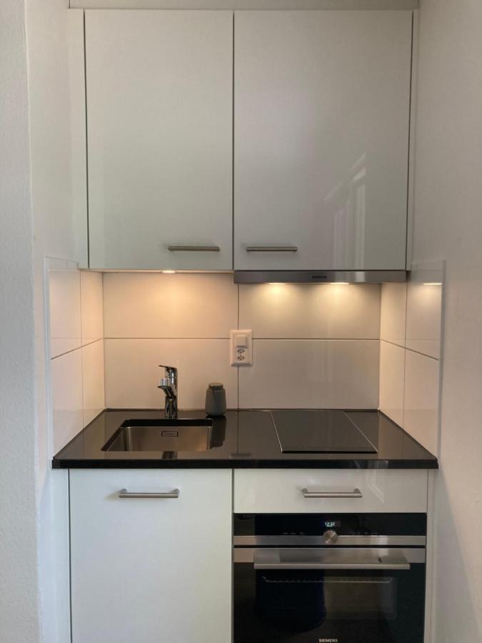 Apartment Furnished With Garden Seefeld I Tiefenbrunnen Zürich