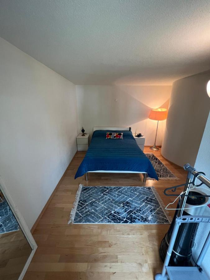 Get Cozy Flat Apartment Zürich