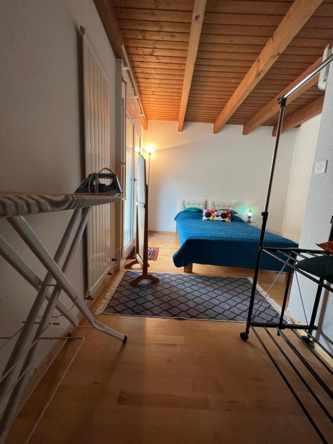 Get Cozy Flat Apartment Zurich