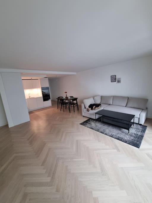 Wohlfuhloase Mitten In Der Stadt Apartment