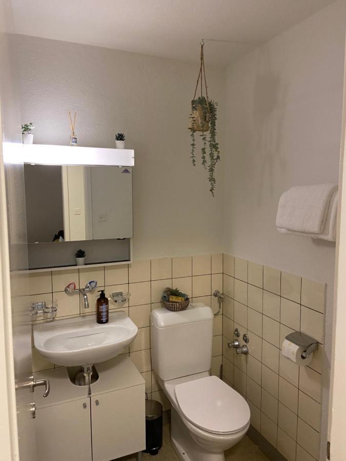 Apartment Comfort 1 And 2bdr Close To Airport Zürich