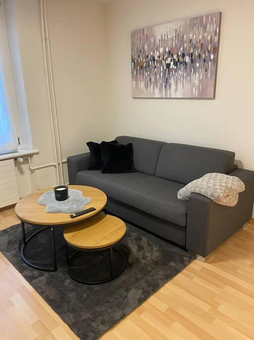 Apartment Gemuetliche An Bester Lage Im Kreis 4