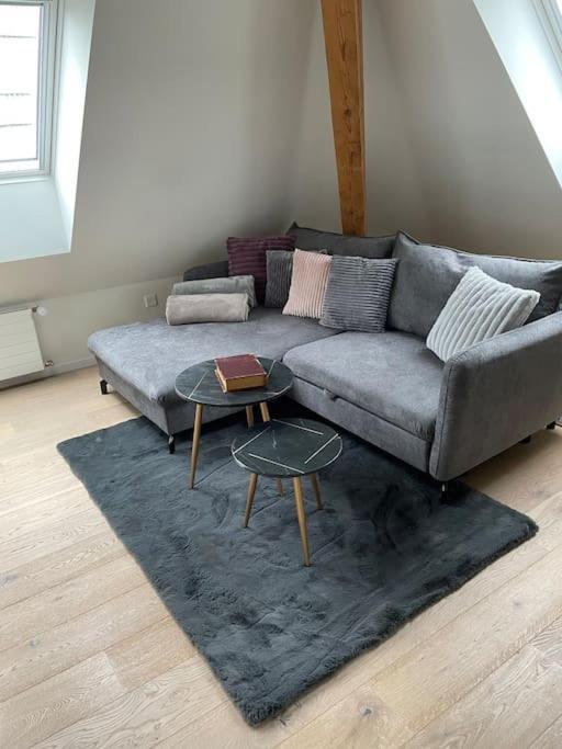 Gemuetliche & Zentrale In Der Stadt Apartment