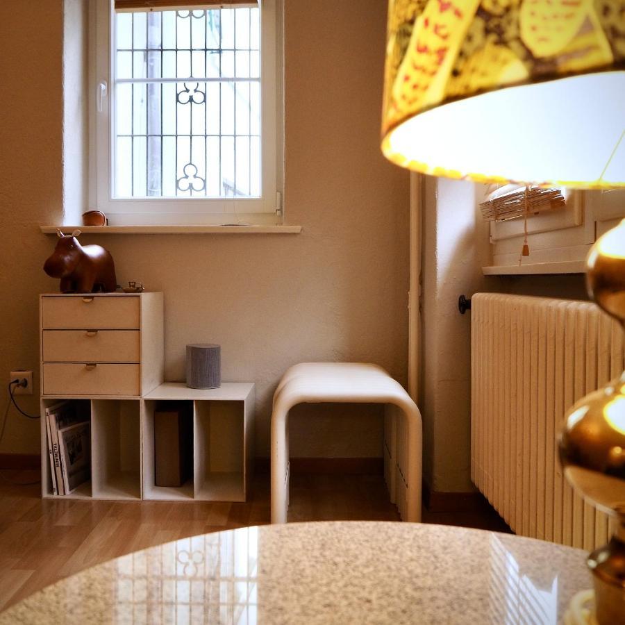 Apartment In The Heart Of Zurich