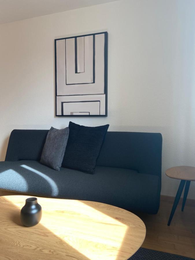 Modern 3bdr Duplex With Skyroof In Trendy West * Zurich