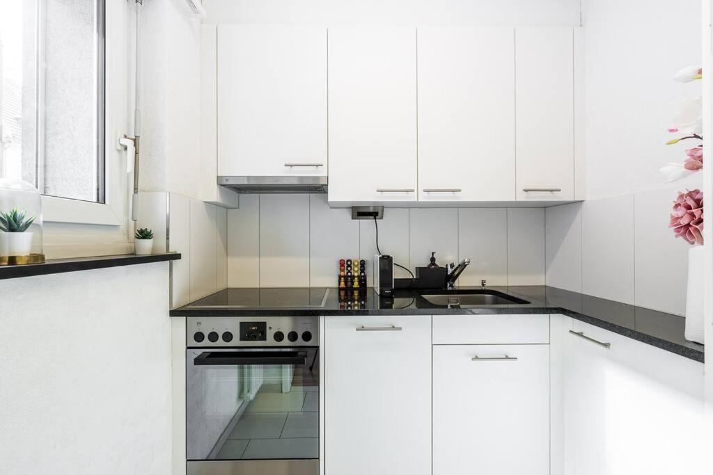 Apartment Bright & Studio Office & Netflix