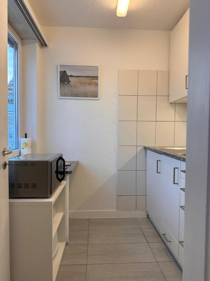 Cozy One-bedroom In Hongg Zurich