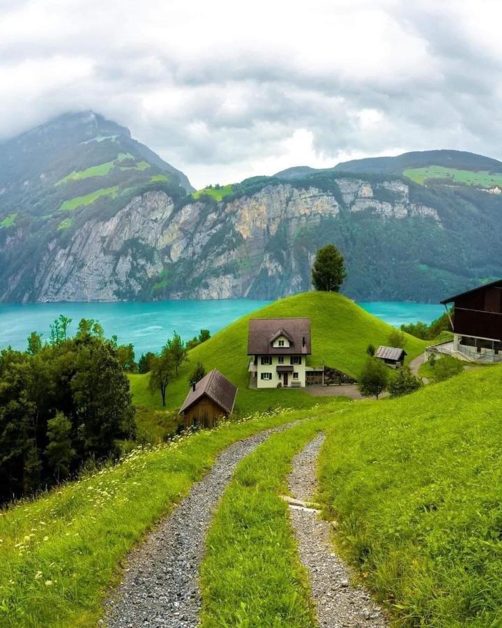 Homestay Lion Bb Swiss