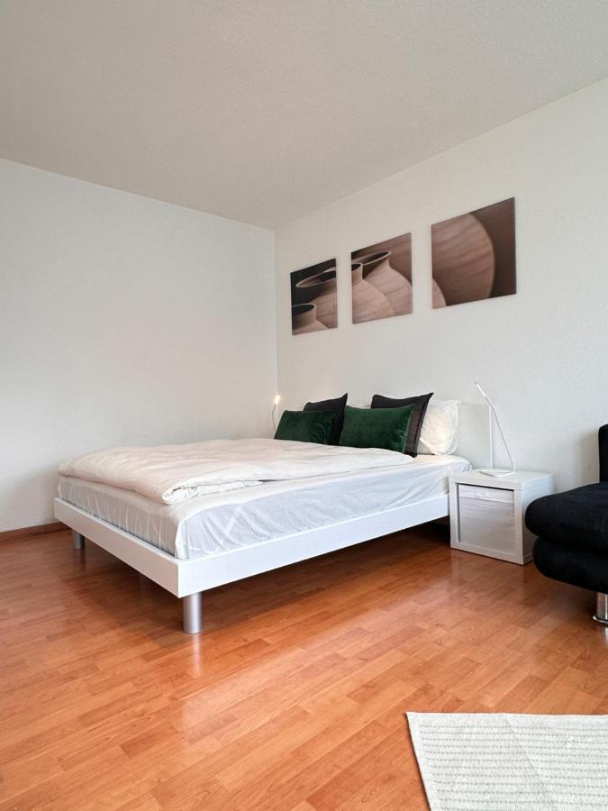 Apartment Cozy One-bedroom In Hongg Zurich
