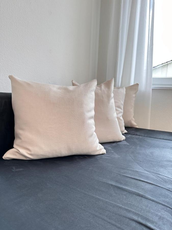 Cozy One-bedroom In Hongg Apartment Zurich